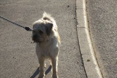 csm_IMG_4253_64874ef8d2