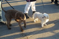 csm_IMG_4254_846beb0969