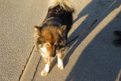 csm_IMG_4256_cf2fc0f16f