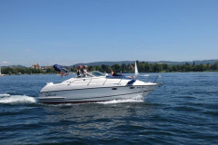 img_3892-1-1