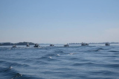 img_3896-1-1