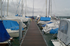 CIMG2225