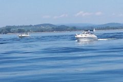 csm_20160526_111136_ec6dd9ee35