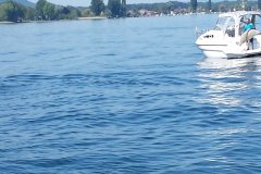 csm_20160526_111444_2_b78e921fd5