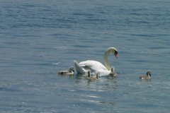 csm_DSCN5046_91b7996b65