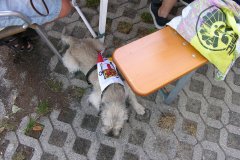 csm_DSCN5082_35fbec2973