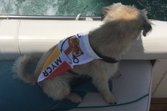 csm_DSCN5126_477f714265