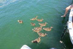 csm_IMG_4161_f67a89e5c3