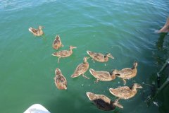 csm_IMG_4162_29d3f71330