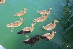 csm_IMG_4163_5b535c30e6