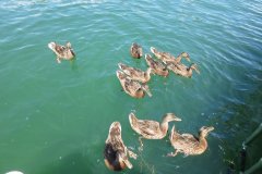 csm_IMG_4164_088a3a89a9