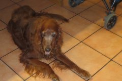 csm_IMG_4431_e0b6986f5f