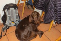 csm_IMG_4436_728e6975e8