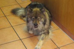 csm_IMG_4437_f7bb517de1